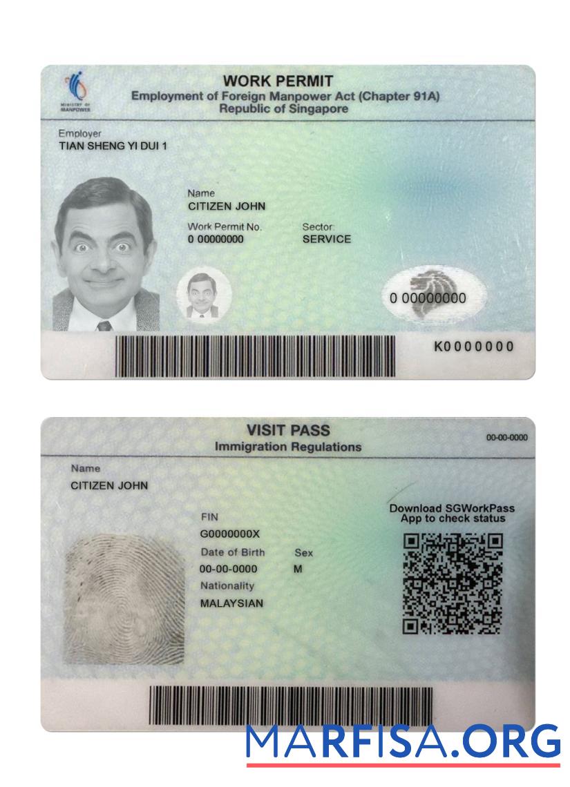 Realistic Singapore work permit download for verification